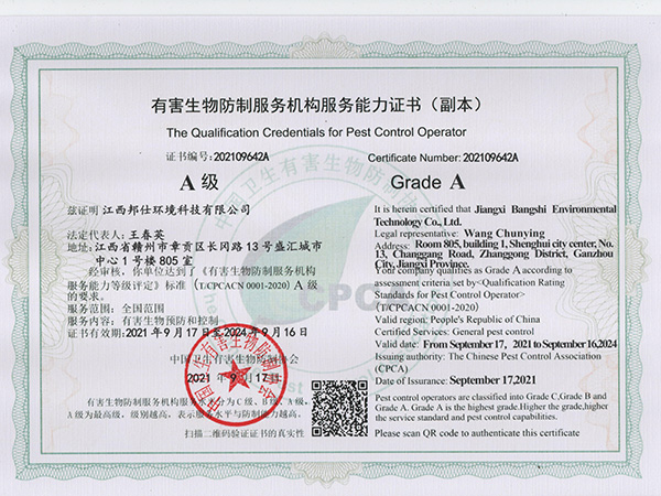 国家A级资质证书